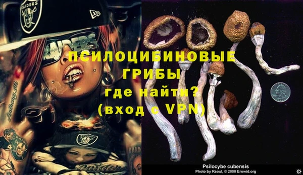 дурь Каменск-Шахтинский