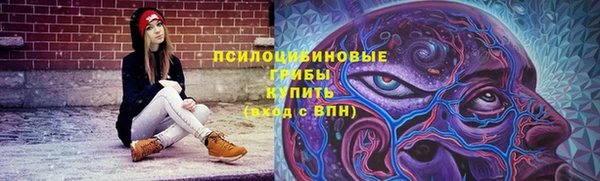 дурь Каменск-Шахтинский